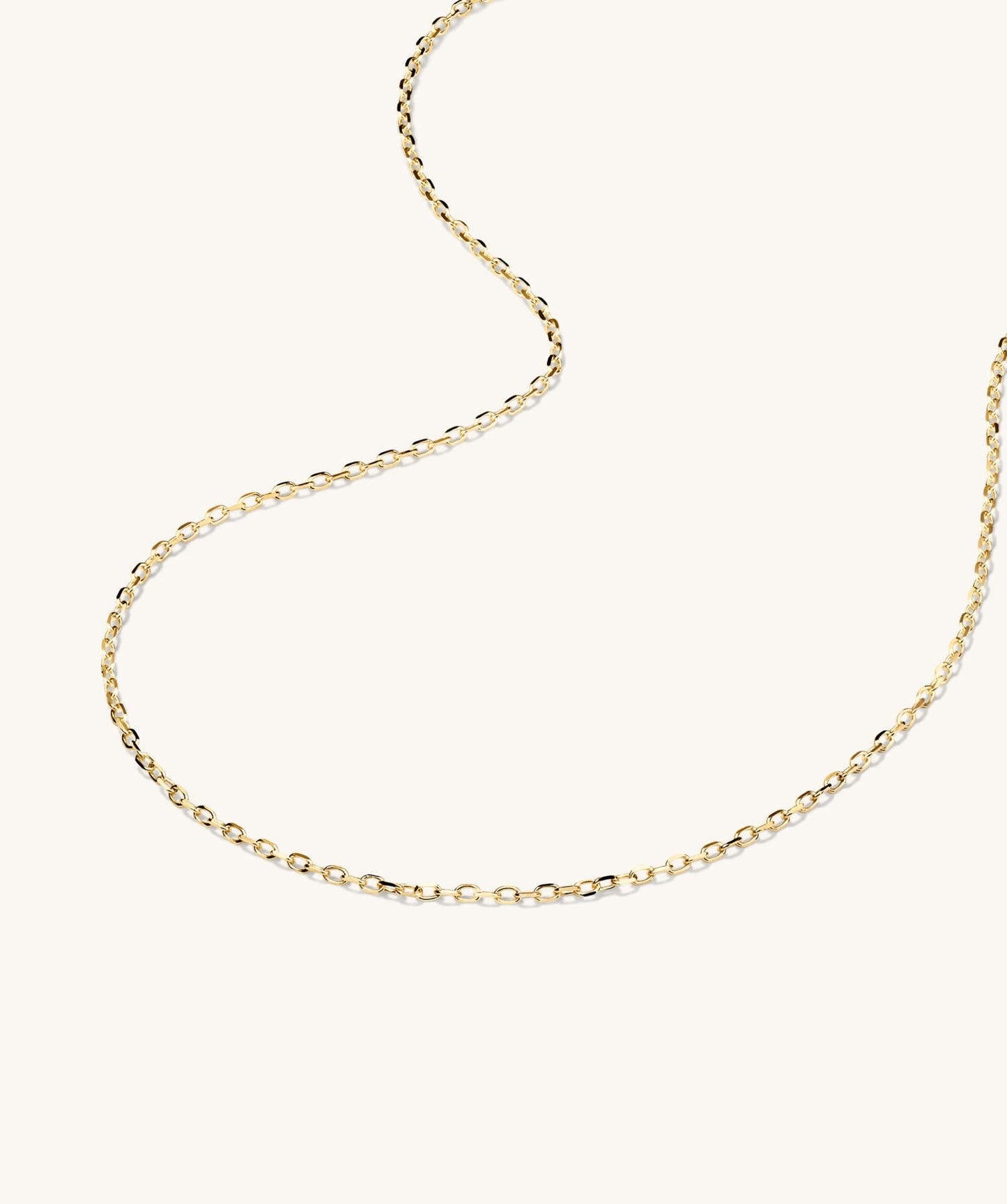 SW. Chain Necklace